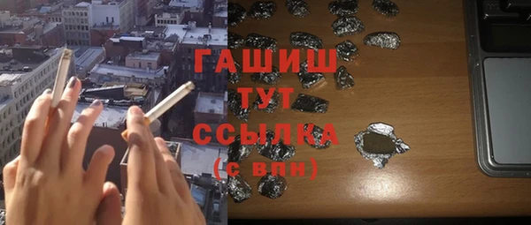 шишки Богородицк
