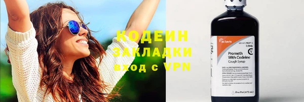 шишки Богородицк