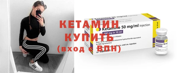 шишки Богородицк
