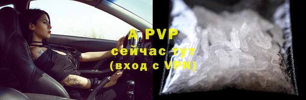 шишки Богородицк