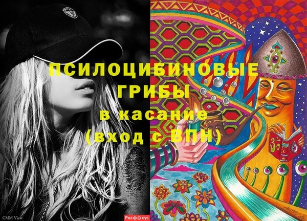 шишки Богородицк