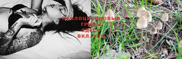 MESCALINE Богданович