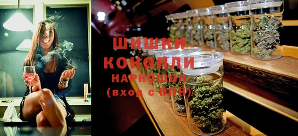 шишки Богородицк