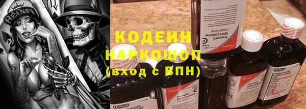 шишки Богородицк
