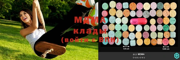 шишки Богородицк